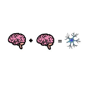 2 Brains 1 Cell