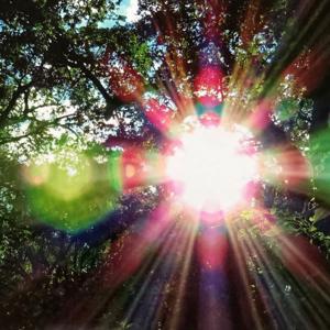 Standing in the Light