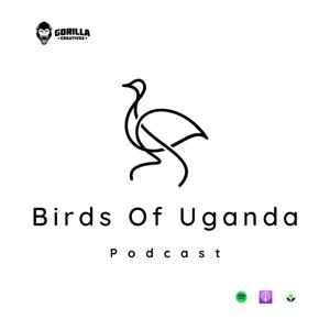 Birds Of Uganda Podcast