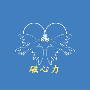 磁心力