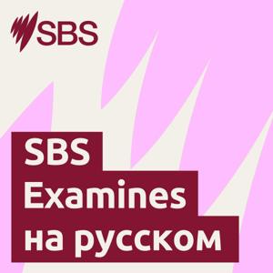 SBS Examines на русском