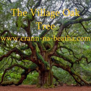 The Village Oak Tree