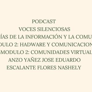 VOCES SILENCIOSAS