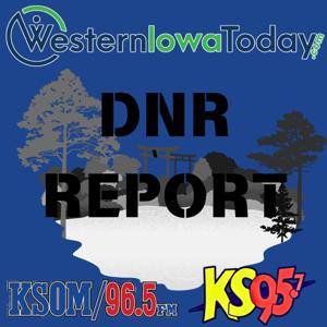 DNR Report