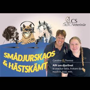 Smådjurskaos & Hästskämt