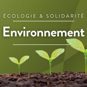 Environnement
