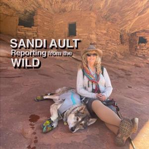 SANDI AULT—Reporting from the WILD