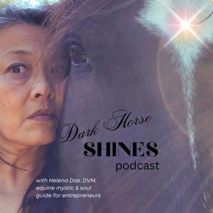 DARK HORSE Shines, a sacred portal to remembering your magic 🐎 🌟 🖤