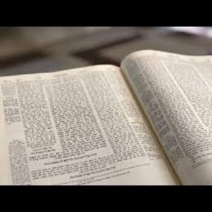 Daf Hayomi Shiurim in English & Yiddish R' Ami Maierovits