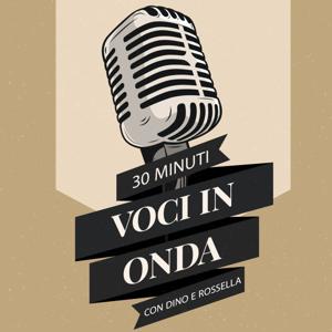 Voci in onda