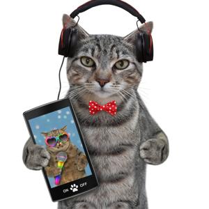 Comedy Cat! Life with Bucky - World’s Funniest Cat !