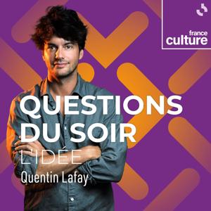 Questions du soir : l'idée by France Culture