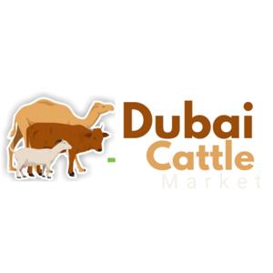 Dubai Cattles Market Dealer