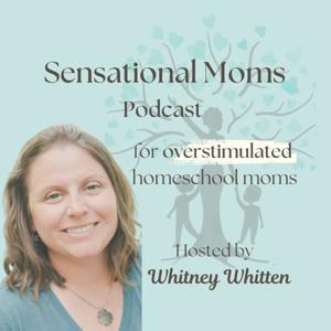 Sensational Moms: For Overstimulated Homeschool Moms