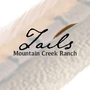 BIT Leadership: Tails of Mountain Creek Ranch