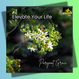 Elevate Your Life