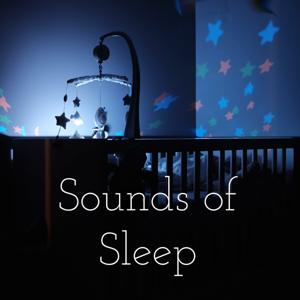 Sounds of Sleep