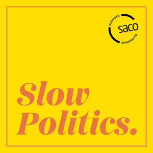 Slow Politics