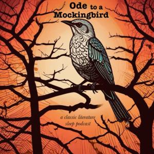 Ode to a Mockingbird by Jake Phillips
