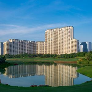 DLF Camellias Investment