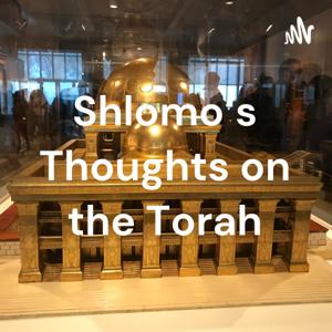 Shlomo's Thoughts on the Torah