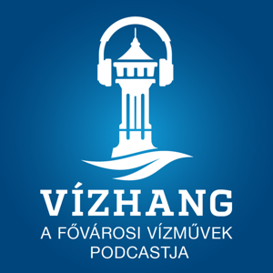 Vízhang