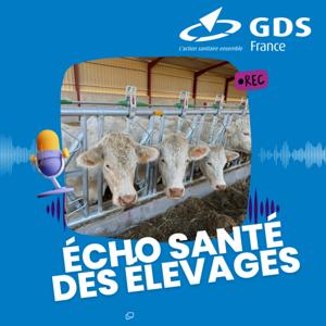 Écho santé des Élevages