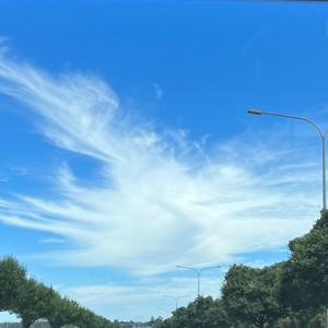 Zoom Discipleship Sessions