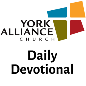 York Alliance Daily Devotionals