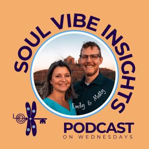 Soul Vibe Insights