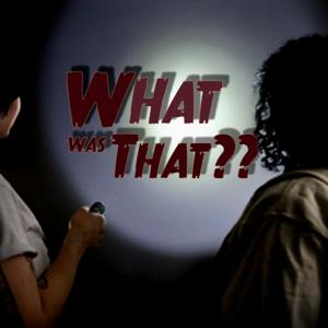 What Was That??