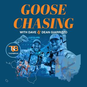 Goose Chasing