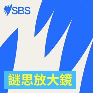謎思放大鏡