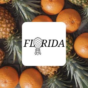 Florida Lifestyler Group