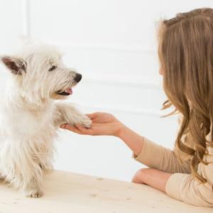 Pet Sitting Services in New Orleans
