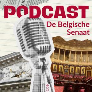 De Belgische Senaat, de Belgische wat?