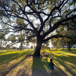 The Pursuit of Beauty with Matthew Wilkinson