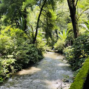 Ópticas Constructivas