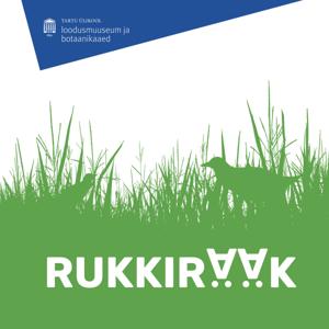 Rukkirääk