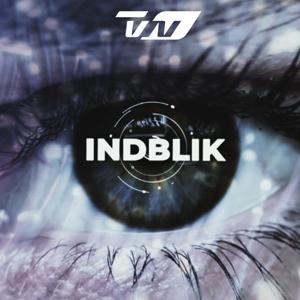 Indblik