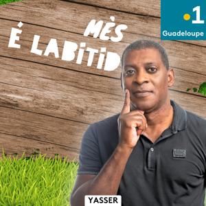 Mès é labitid