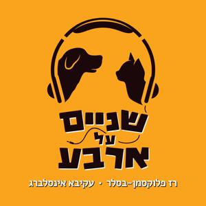 שניים על ארבע