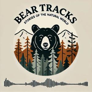 Bear Tracks: Stories of the Natural World