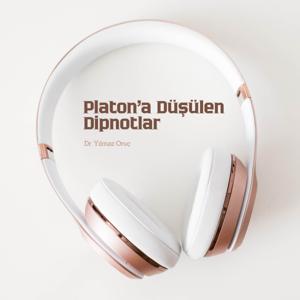 Platon'a Düşülen Dipnotlar