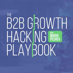 The B2B Growth Hacking Playbook