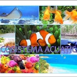 ECOSISTEMAS ACUATICOS 4102