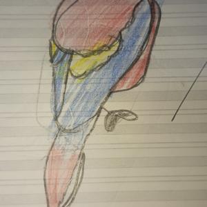 La Guacamaya Roja