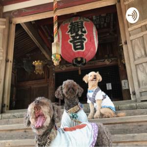 無有隆龍のスピリチュアル世界を仏教で語ります。無有隆龍