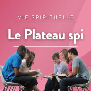 Le plateau spi