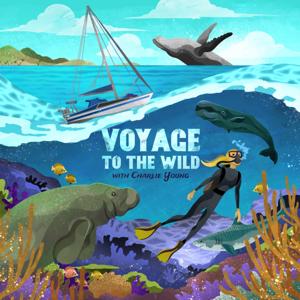 Voyage to the Wild